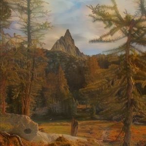 Meet your Posher, Leonardo